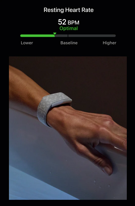 VD BAND 6.0